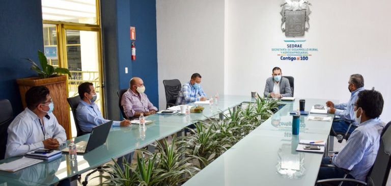 Sedrae fortalecerá la sanidad e inocuidad en cultivos