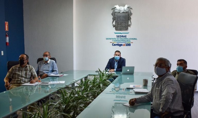 Inegi presenta a Sedrae resultados de la Encuesta Nacional Agropecuaria 2019