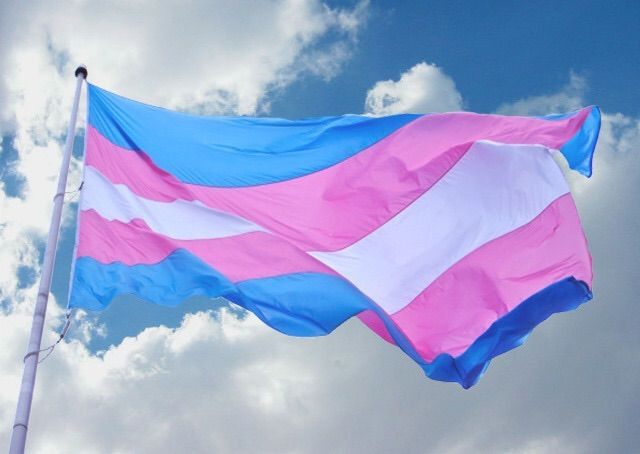 Se gana el segundo amparo a favor del derecho a la identidad de adolescencias trans