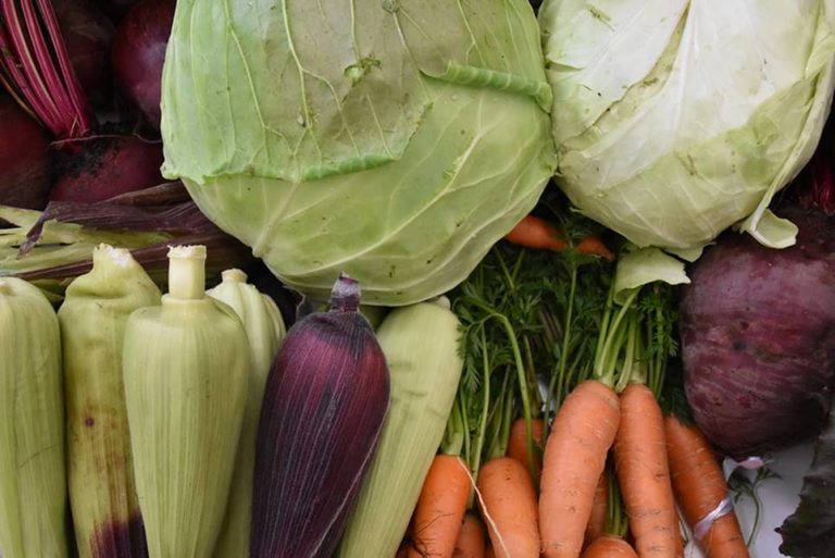 Reunión previa a la Cumbre sobre los sistemas Alimentarios de la ONU será en Roma