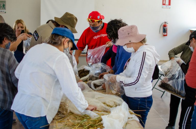 SSMAA imparte taller de producción de hongos comestibles