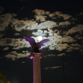 15474301405_26f91d7b40_k