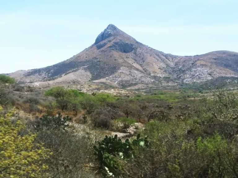 ICA reconoce importancia de cuidar la Tierra