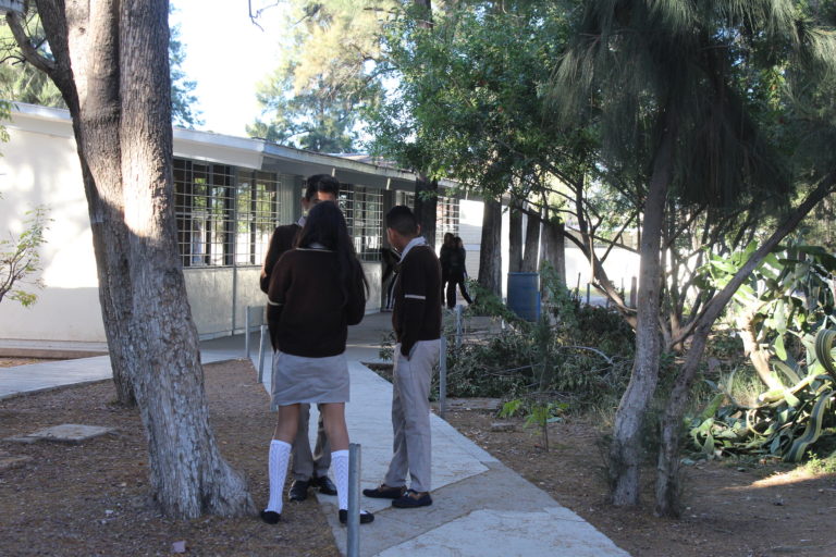 Deberá ser voluntario el regreso a las aulas