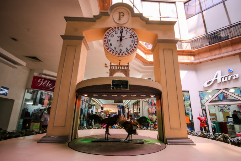 Viva Aguascalientes y su pelea de gallos / Marca textos 