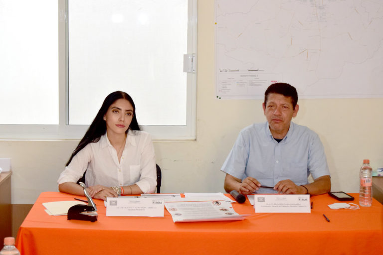 Expertos y profesionistas deben tomarse en cuenta para legislar: France Farías