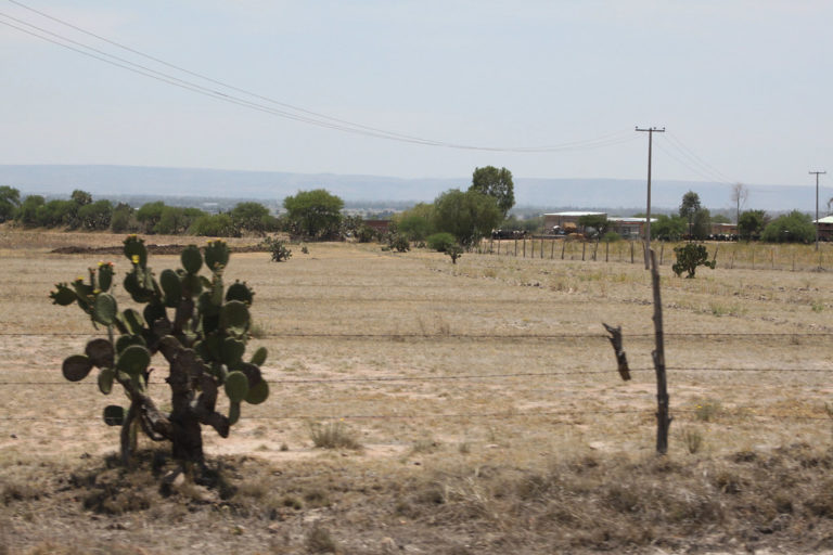 Se prevé financiamientos en Aguascalientes para contrarrestar las pérdidas por sequía