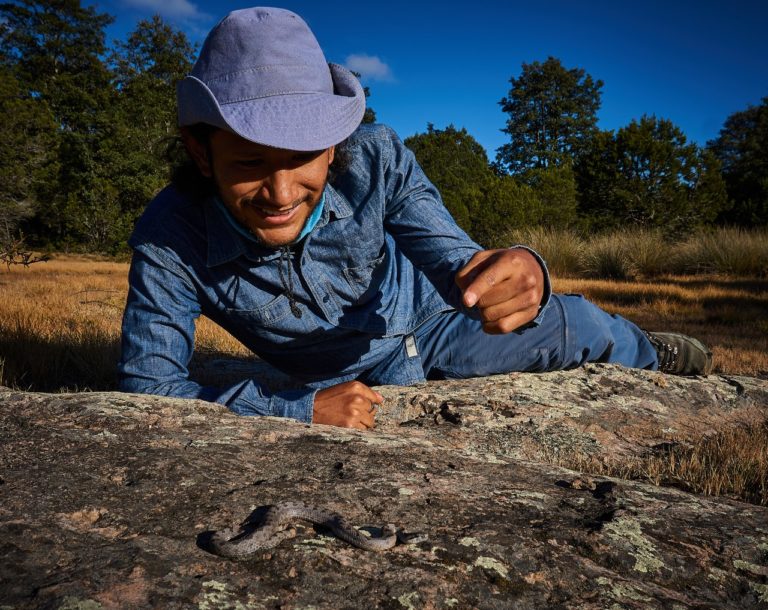 Estudiante de la UAA investiga serpiente endémica de Aguascalientes