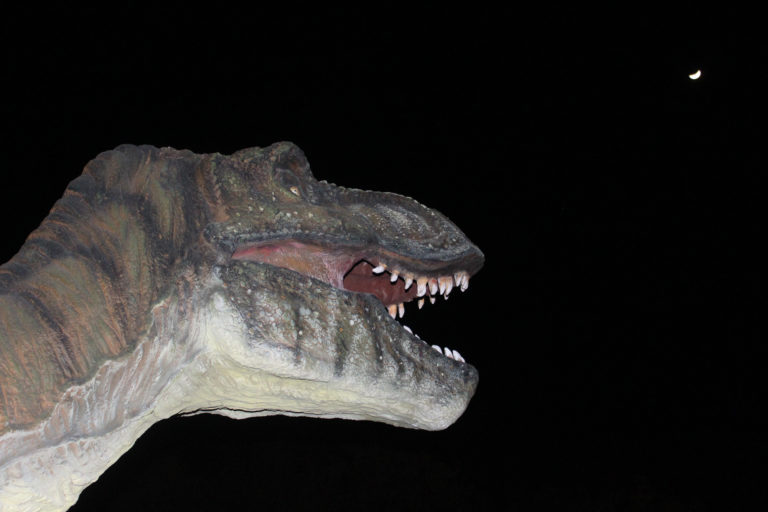 Regresan las observaciones espaciales de forma presencial al Museo Descubre