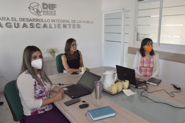 Estudio de reportes al 911 dará nuevo enfoque al programas de la Sefam