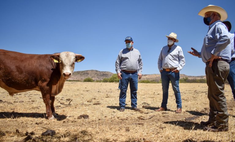 Secretarios del sector agropecuario de Querétaro y Guanajuato visitaron el estado de Aguascalientes