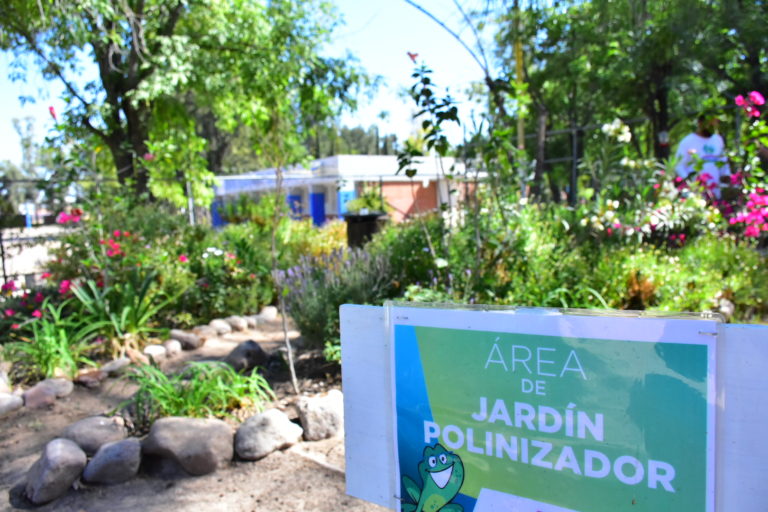 Municipio de Aguascalientes imparte talleres de educación ambiental