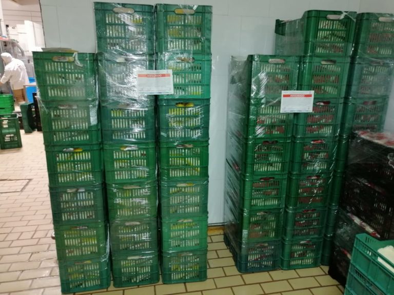 Decomisa Issea productos lácteos contaminados