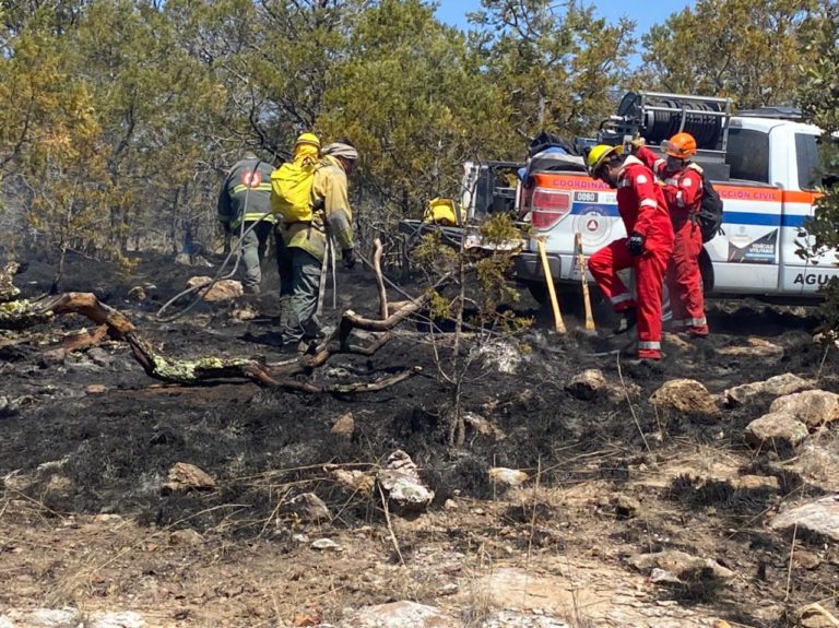 En Aguascalientes, sofocan incendio en la Sierra Fría en casi 24 horas