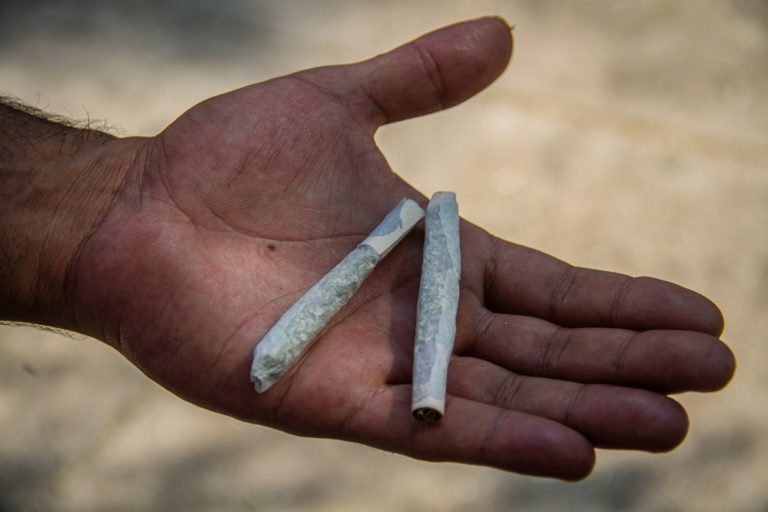 SCJN dio un paso enorme hacia la regulación del consumo lúdico del cannabis 