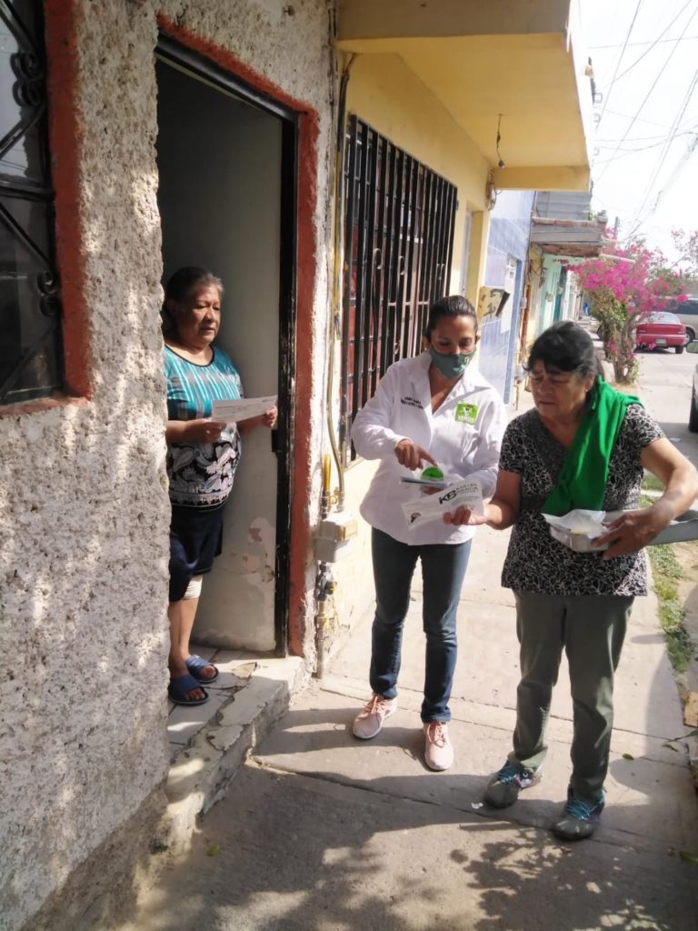 Candidata del PVEM a diputación presenta propuestas