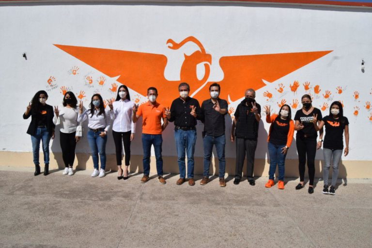 Derechos de las mujeres, de migrantes y de consumidores: las campañas de candidatas a diputadas federales de MC