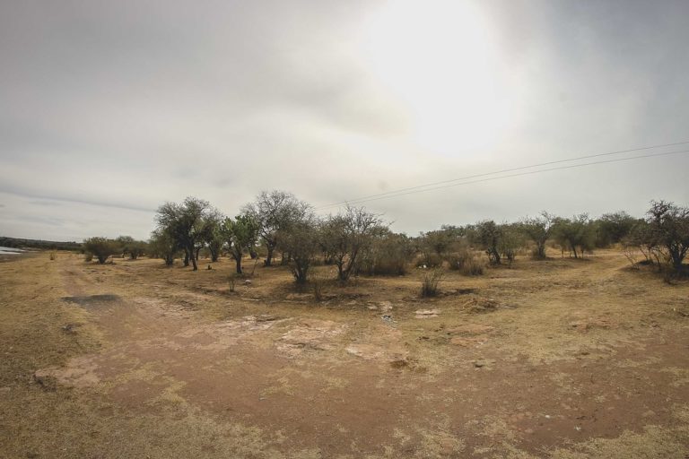 En Aguascalientes, falta más equipo adecuado para el combate de incendios forestales en Cobos