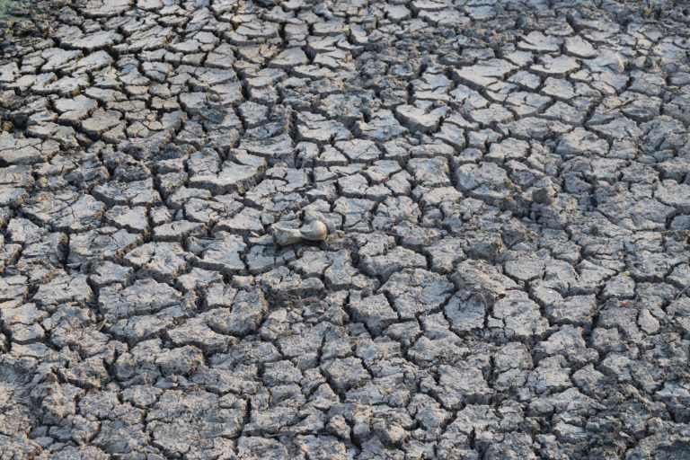 Aguascalientes se mantiene en sequía severa: Conagua