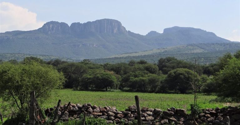 Insuficiente vigilancia para evitar tiradero de residuos en zonas protegidas