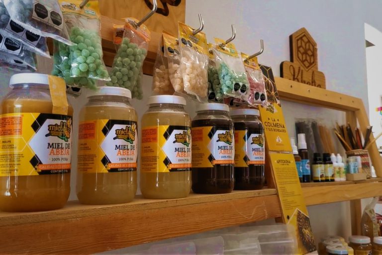 Invita Municipio de Aguascalientes a participar en encuentro virtual de negocios