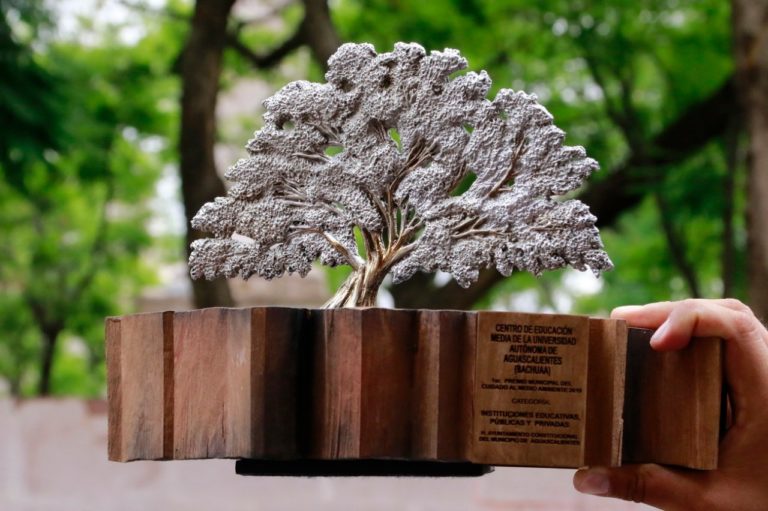 Lanzan convocatoria para el Premio Municipal al Cuidado del Medio Ambiente 2021