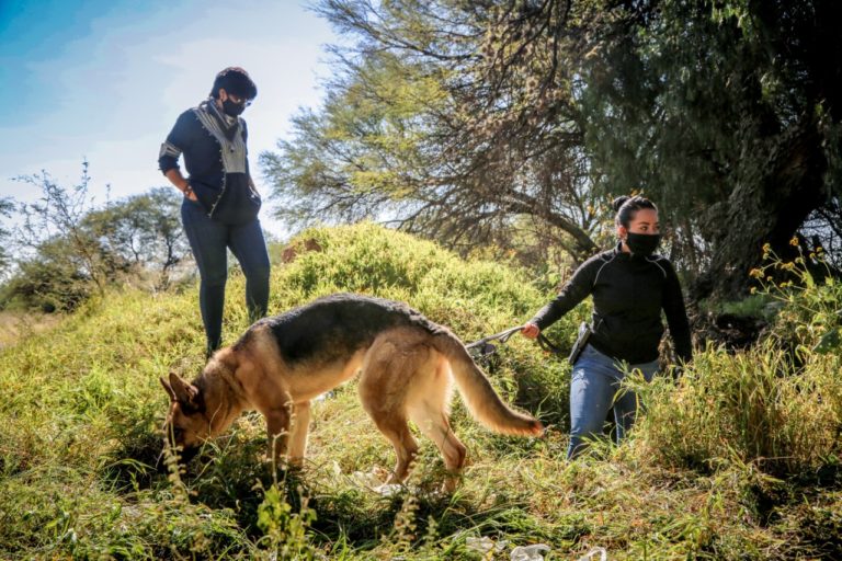 Señalan de omisas a las Fiscalías de Búsqueda de Personas de Zacatecas y Aguascalientes 