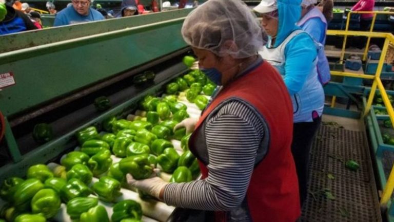 Tras queja de EU por conflicto laboral en Silao, México lo cuestiona por derechos laborales de migrantes