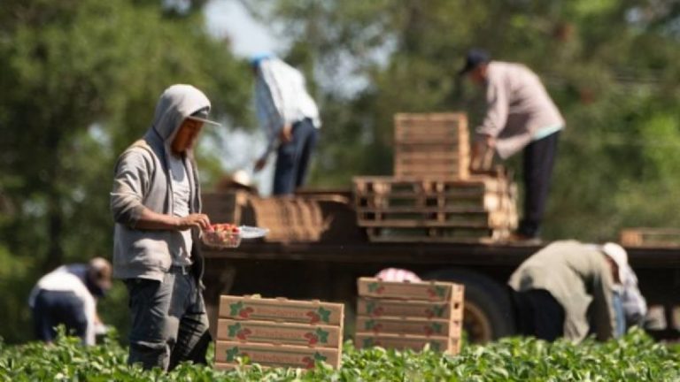 Petición a EU sobre trato laboral a migrantes, sin relación con conflicto en Silao: AMLO
