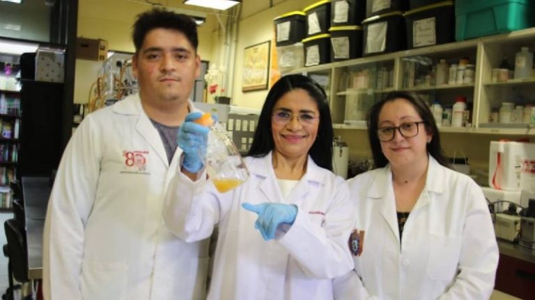 ¿El pulque te puede ayudar contra el cáncer? IPN e instituto francés descubren un probiótico anticancerígeno