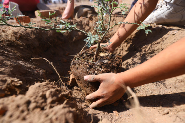 UAA forma parte de la Red de Escuelas Asociadas de la Unesco