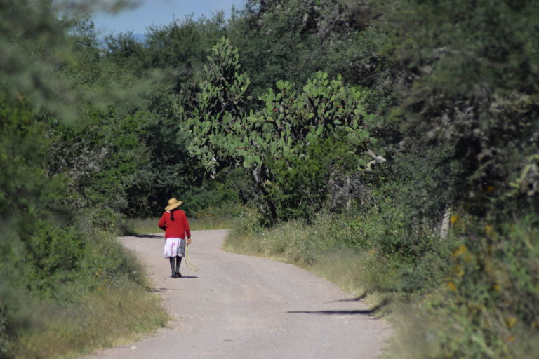 La influencia del desarrollo moral en nuestras actitudes ambientales (Parte 4)