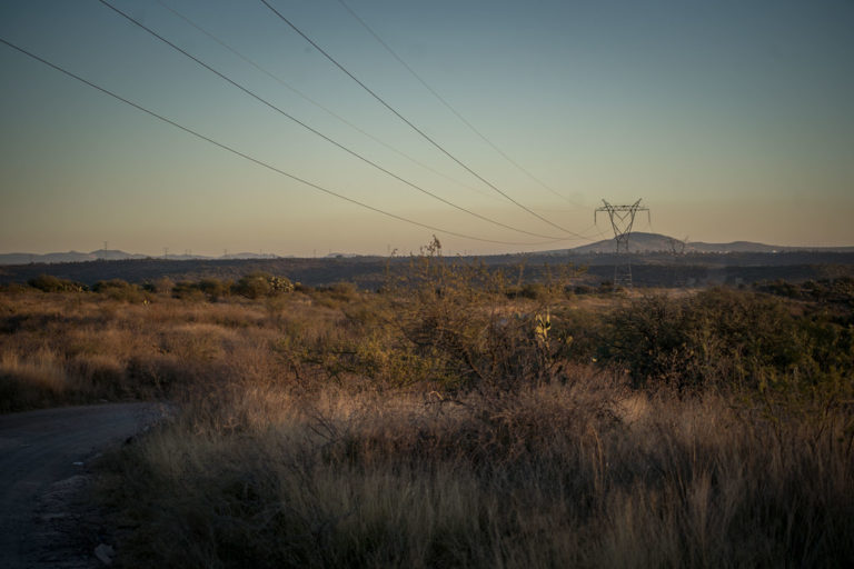 Piden guardabosques que se detenga la mancha urbana en la zona cercana al Bosque de Cobos