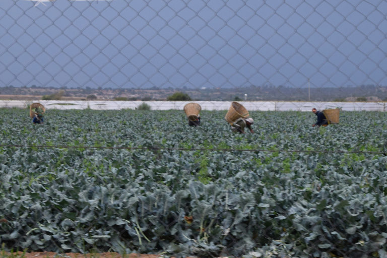 Balance Agropecuario de Aguascalientes/ El apunte 