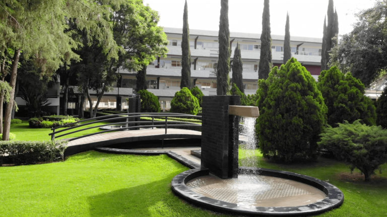 Conoce la alternativa de Universidad Cuauhtémoc Aguascalientes para tu licenciatura