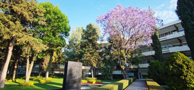 Estas son las certificaciones y reconocimientos más importantes de la Universidad Cuauhtémoc Aguascalientes