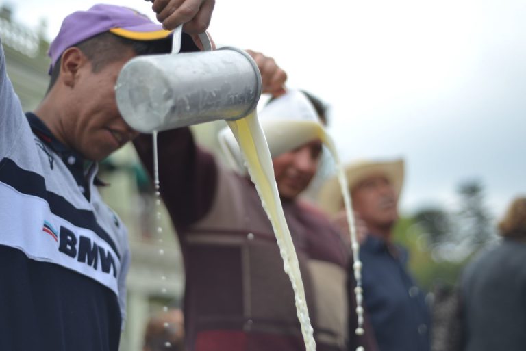 Amenazan con manifestarse los productores de leche de no aumentar el precio de compra