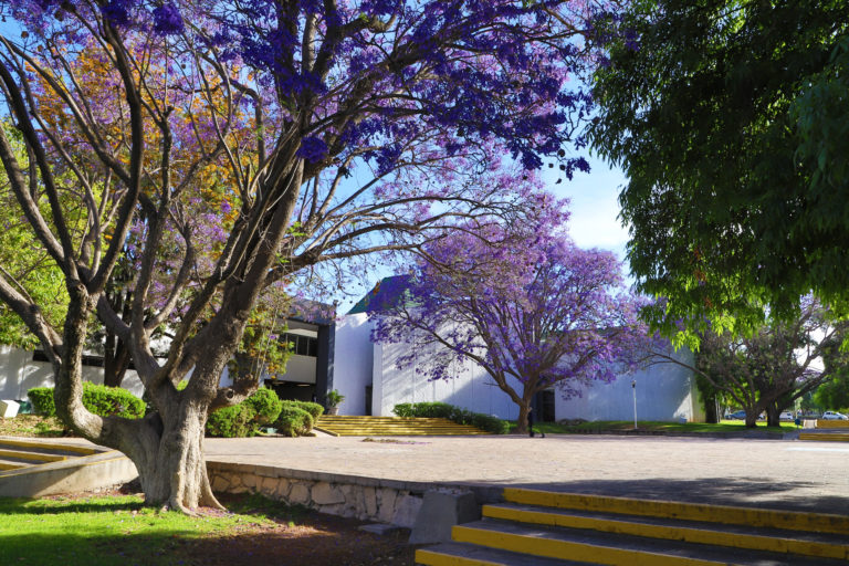 Catedrático de la UAA analiza posturas de economía ecológica