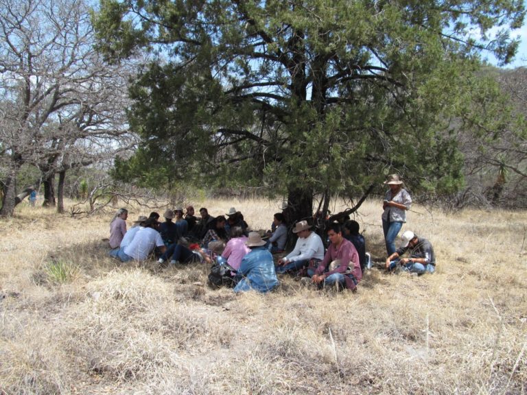 UAA realiza investigación para protección ambiental en la Estación Biológica Agua Zarca