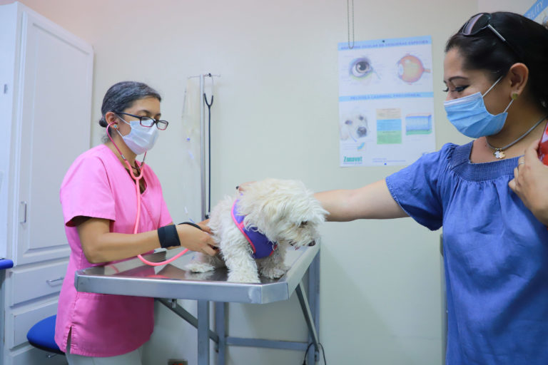 Hospital Veterinario de Pequeñas Especies de la UAA continúa ofreciendo sus servicios