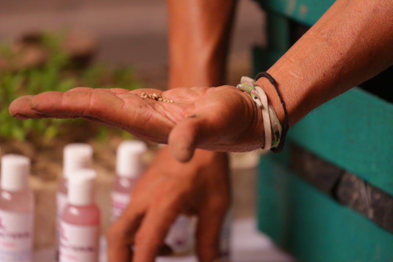 Municipio de Aguascalientes realizó Miércoles Ciudadano Ambiental