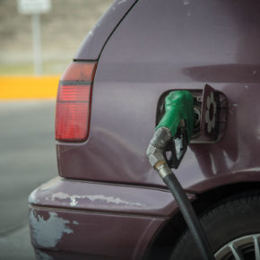 32592600118_b84efd524a_k