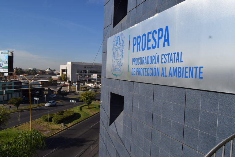 Héctor Anaya es alguien que se ha preparado en temas de medio ambiente: Gustavo Báez