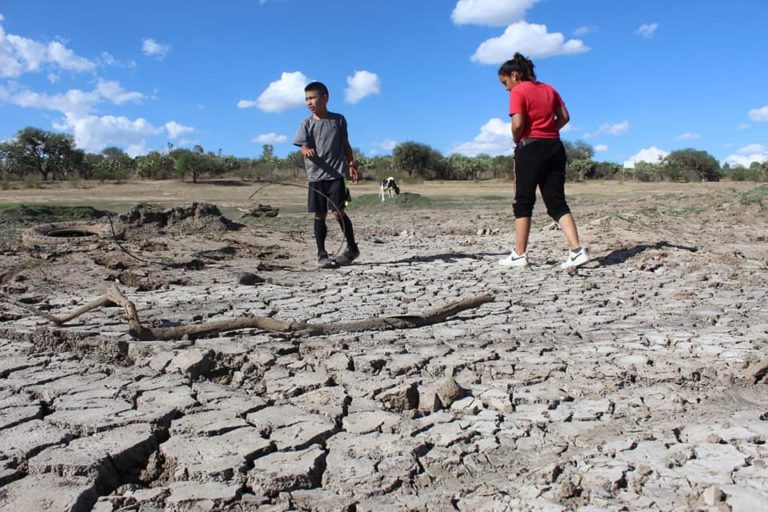 Geochicos: Habitantes de un bosque en pro de su conservación 