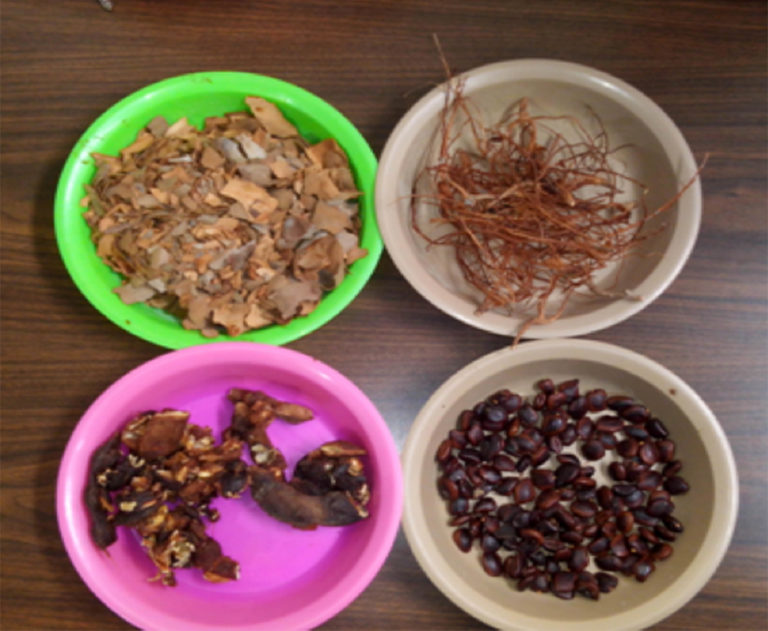 Las semillas de tamarindo pueden ser la respuesta para reducir el uso de plásticos