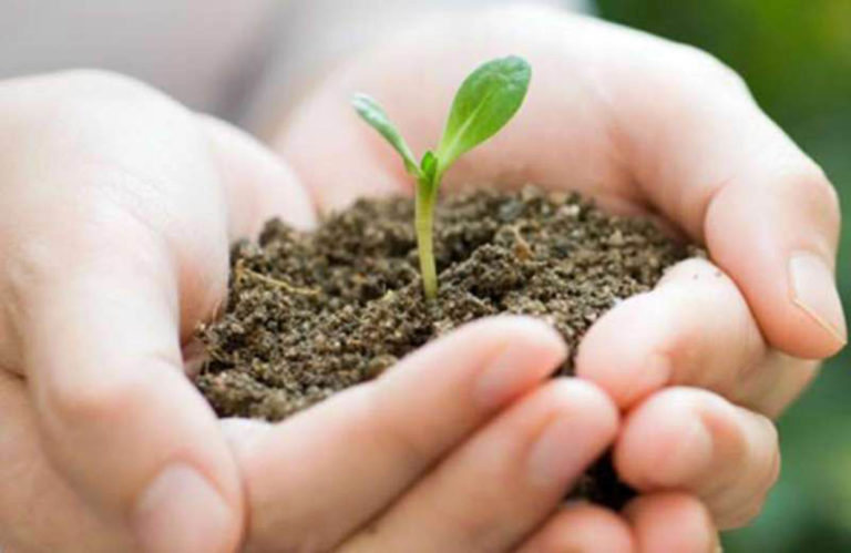 Te contamos del arte de vivir bien con menos