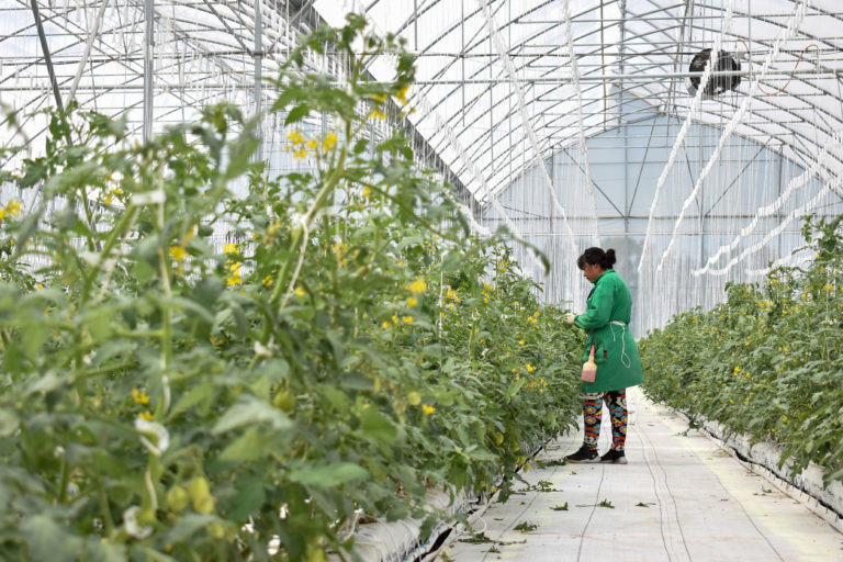 Sedrae lanza convocatoria para proyectos de valor agregado