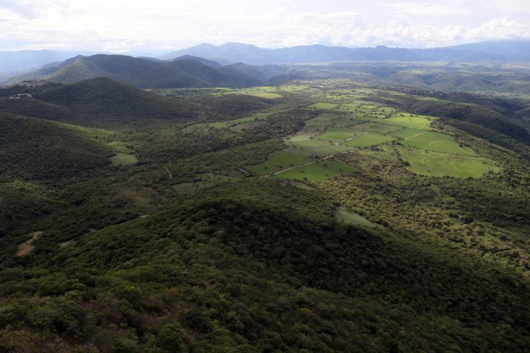 La influencia del desarrollo moral en nuestras actitudes ambientales (Parte 3)