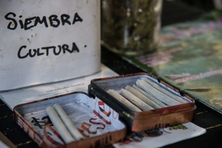 El uso industrial y medicinal del cannabis traería un impulso a la economía del país