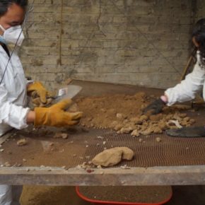 restososeos_feminicida_At_1.original